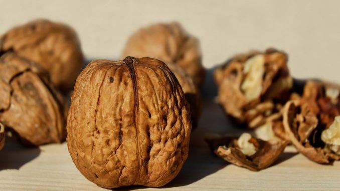 Ořechy jsou základem zdravého jídelníčku